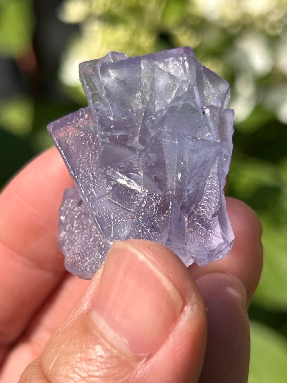 Fluorite (6) specimen with stand | crystal